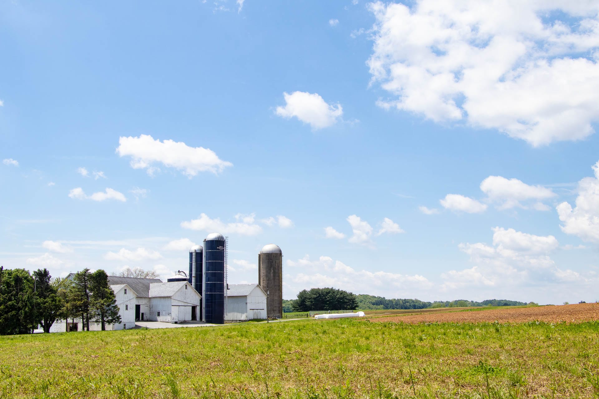 Amish Scenery near Strasburg, PA